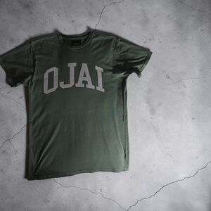 Ojai Graphic Crewneck Tee in Olive